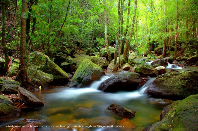 Phú Quốc có nhiều con suối đẹp và hoang sơ như suối Đá Bàn, suối Tiên, suối Hang... Nổi tiếng nhất là suối Tranh, dài hơn 15 km, uốn lượn trên những ghềnh đá, lúc ẩn lúc hiện dưới sắc xanh của núi rừng.